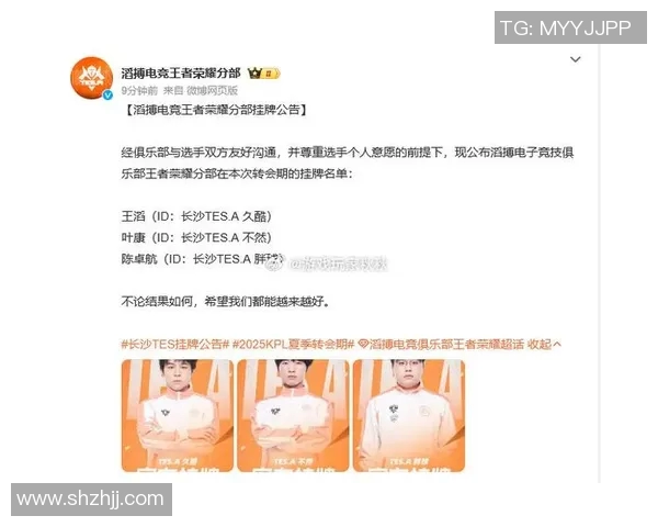 王者荣耀技术排行榜揭晓TES战队荣登第五名引发热议