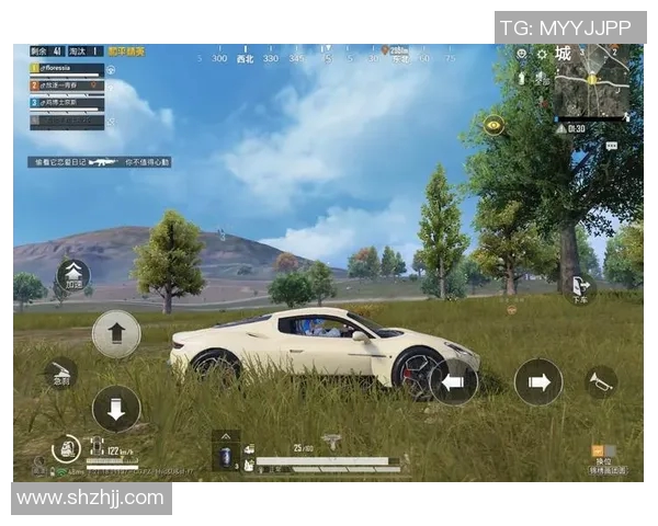 和平精英热议BLG状态引发争议分析与未来展望